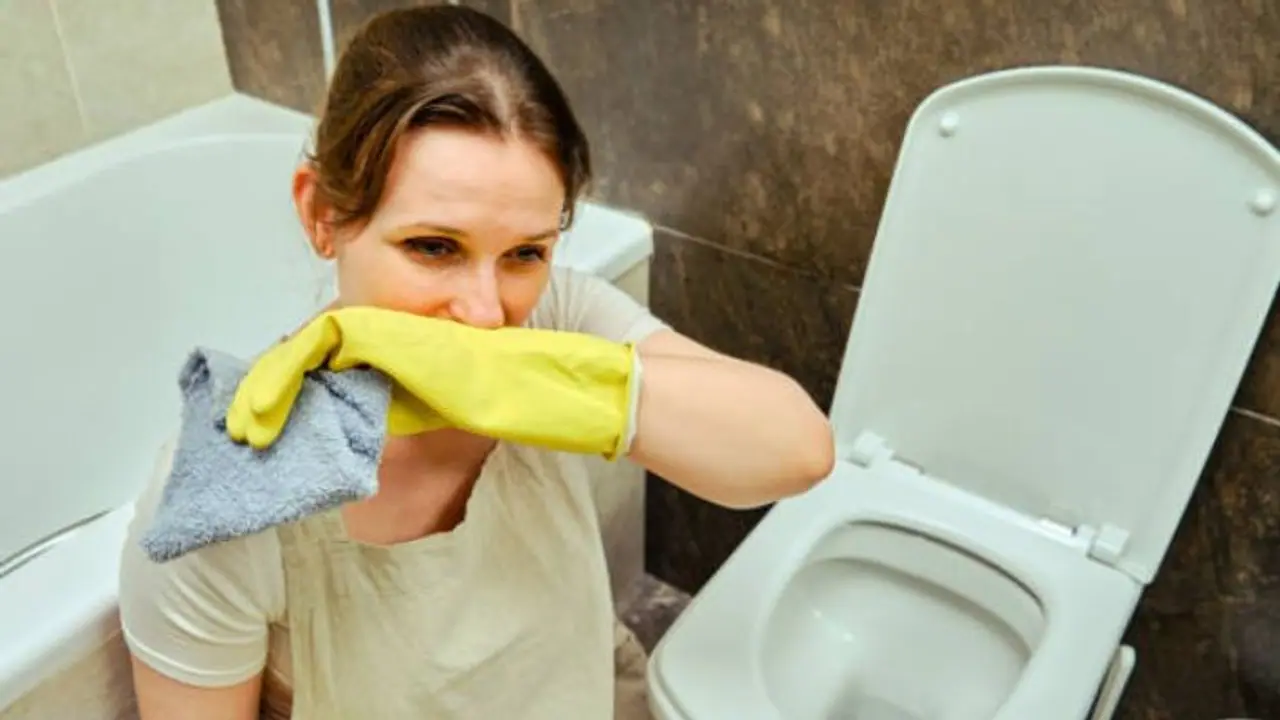 ബാത്റൂമിലെ ഡ്രെയിൻ അടഞ്ഞുപോകാനുള്ള 5 കാരണങ്ങൾ ഇതാണ് ബാത്റൂമിലെ ഡ്രെയിൻ അടഞ്ഞുപോകാനുള്ള 5 കാരണങ്ങൾ ഇതാണ്