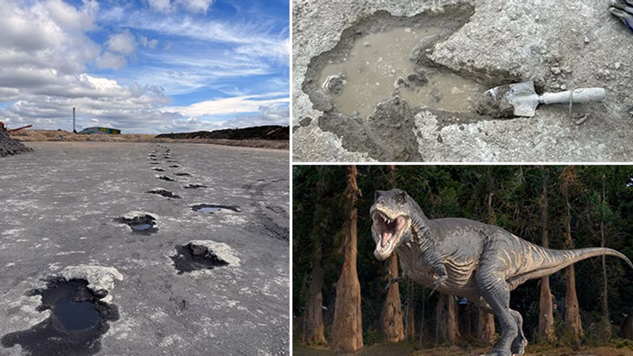 UNEARTHED! UK's largest dinosaur footprint site reveals tracks from 166 million years ago (WATCH) UNEARTHED! UK's largest dinosaur footprint site reveals tracks from 166 million years ago (WATCH)