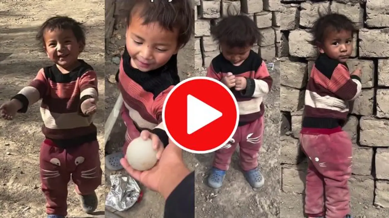 ಪ್ರವಾಸಿ ಮಹಿಳೆಗೆ ಕಾಶ್ಮೀರದಲ್ಲಿ ಸಿಕ್ತು ಕ್ಯೂಟ್ ಮಗು; ವಿಡಿಯೋ ನೋಡಿ ಭಾವುಕರಾದ ನೆಟ್ಟಿಗರು 