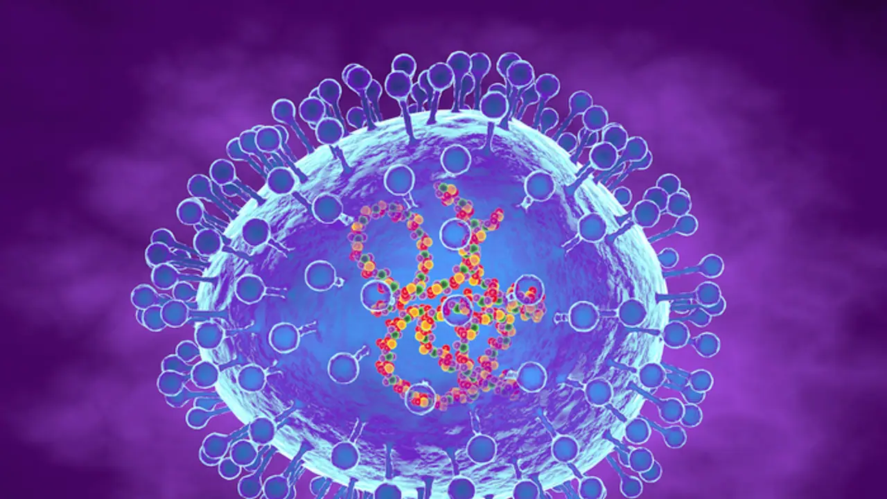 വീണ്ടും എച്ച്എംപിവി, 3 മാസം പ്രായമായ കുഞ്ഞിനും രോഗം സ്ഥിരീകരിച്ചെന്ന് ഐസിഎംആർ; 2 കേസും കർണാടകയിൽ വീണ്ടും എച്ച്എംപിവി, 3 മാസം പ്രായമായ കുഞ്ഞിനും രോഗം സ്ഥിരീകരിച്ചെന്ന് ഐസിഎംആർ; 2 കേസും കർണാടകയിൽ
