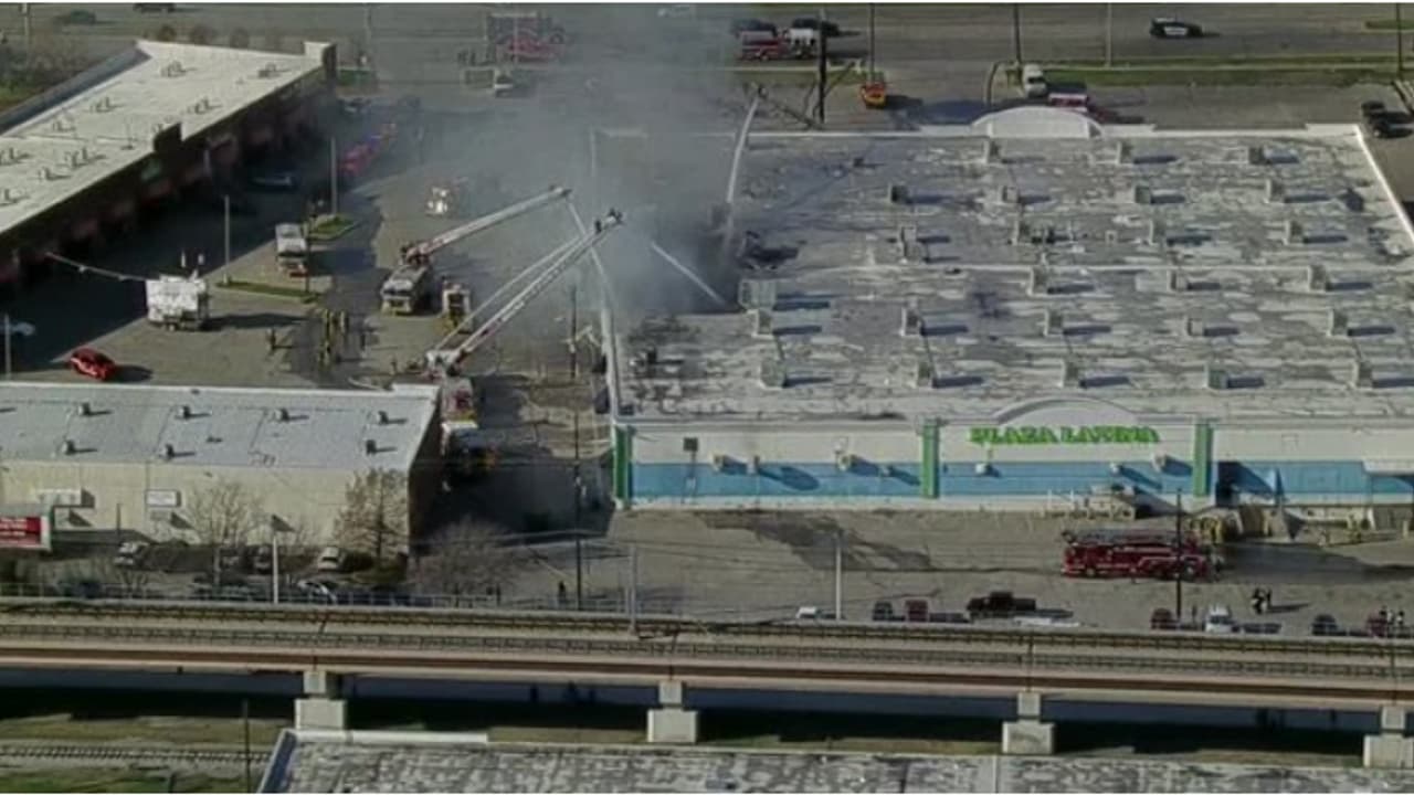 25 വർഷം പഴക്കമുള്ള വ്യാപാര കേന്ദ്രത്തിൽ അഗ്നിബാധ, വിഷവാതകം ശ്വസിച്ച് 579 വളർത്തുമൃഗങ്ങൾ ചത്തു 