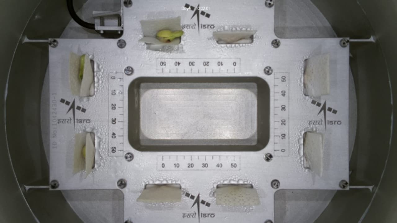 ബഹിരാകാശത്ത് മുളച്ചത് തിരുവനന്തപുരം വിഎസ്എസ്‌സി അയച്ച പയര്‍ വിത്തുകള്‍; അഭിമാന നിമിഷം