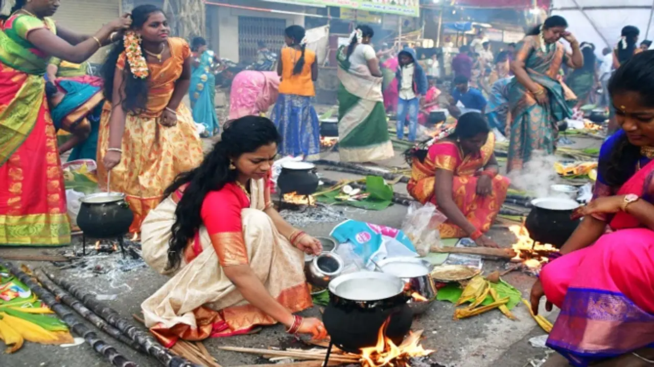 Pongal festival Pongal festival