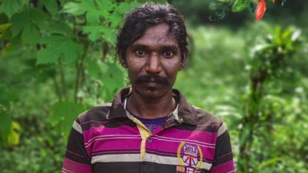 മലപ്പുറം കരുളായിൽ കാട്ടാന ആക്രമണം; ആദിവാസി യുവാവിന് ദാരുണാന്ത്യം മലപ്പുറം കരുളായിൽ കാട്ടാന ആക്രമണം; ആദിവാസി യുവാവിന് ദാരുണാന്ത്യം