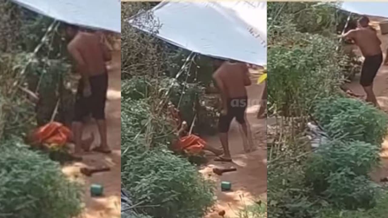 പുൽപള്ളിയിൽ അമ്മയെ തല്ലി നിലത്തിട്ട് മകൻ, മർദ്ദനം ഭയന്ന് രാത്രി കിടക്കുന്നത് അയൽവാസിയുടെ തൊഴുത്തിൽ, ക്രൂരത പുൽപള്ളിയിൽ അമ്മയെ തല്ലി നിലത്തിട്ട് മകൻ, മർദ്ദനം ഭയന്ന് രാത്രി കിടക്കുന്നത് അയൽവാസിയുടെ തൊഴുത്തിൽ, ക്രൂരത