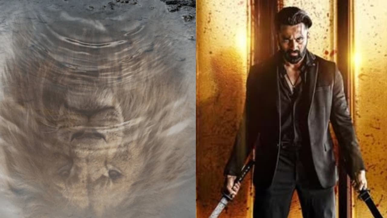 അമ്പോ..ഇതെന്തൊരു പോക്ക്! നേടിയത് 3000 കോടി; റിലീസ് മാർക്കോയ്ക്ക് ഒപ്പം, കളക്ഷനിൽ ഞെട്ടിച്ച് ആ പടം അമ്പോ..ഇതെന്തൊരു പോക്ക്! നേടിയത് 3000 കോടി; റിലീസ് മാർക്കോയ്ക്ക് ഒപ്പം, കളക്ഷനിൽ ഞെട്ടിച്ച് ആ പടം