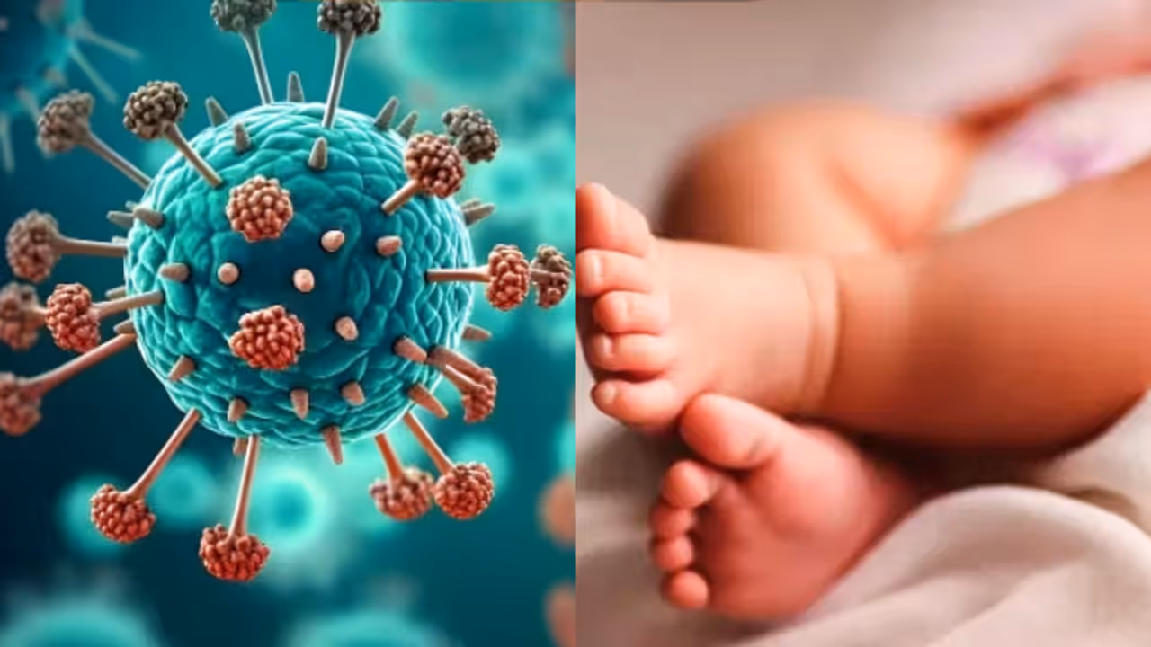 Three cases of HMPV virus detected in India, confirms health ministry