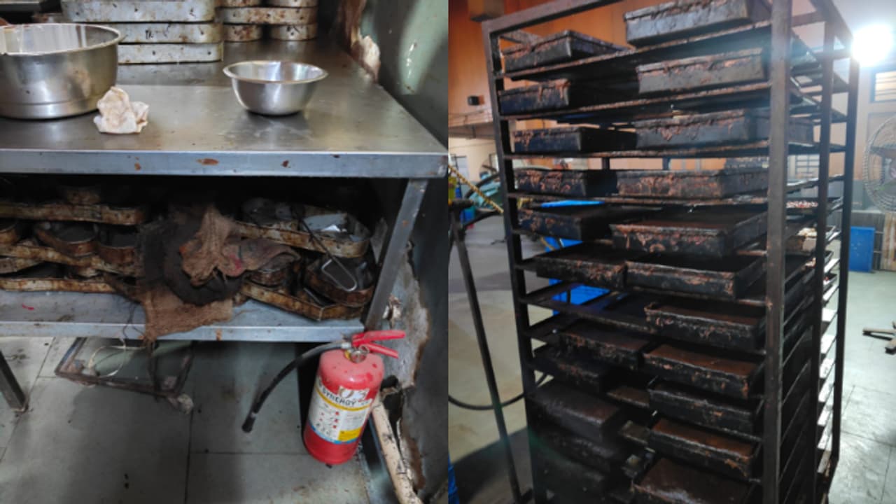 എലി, പാറ്റ, എലികാഷ്ഠം, വൃത്തിഹീനം; ഭക്ഷ്യസുരക്ഷ ഉദ്യോ​ഗസ്ഥർ ഞെട്ടി, മോംഗിനിസിന്റെ ഔട്ട്‌ലെറ്റിൽ മിന്നൽ പരിശോധന