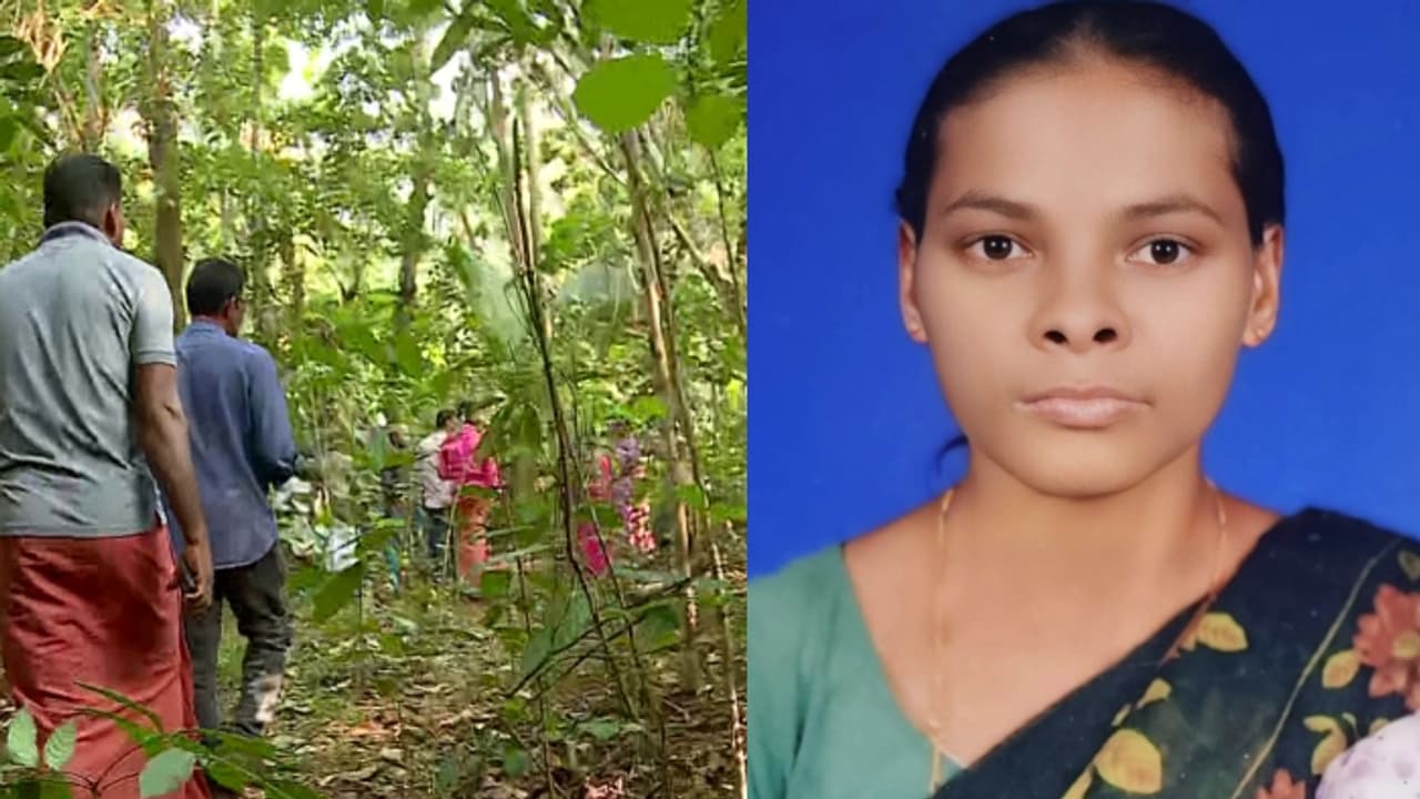 സിന്ധു എവിടെ? കാട്ടിൽ വിറക് ശേഖരിക്കാൻ പോയ യുവതിയെ കാണാതായിട്ട് ഒരാഴ്ച സിന്ധു എവിടെ? കാട്ടിൽ വിറക് ശേഖരിക്കാൻ പോയ യുവതിയെ കാണാതായിട്ട് ഒരാഴ്ച