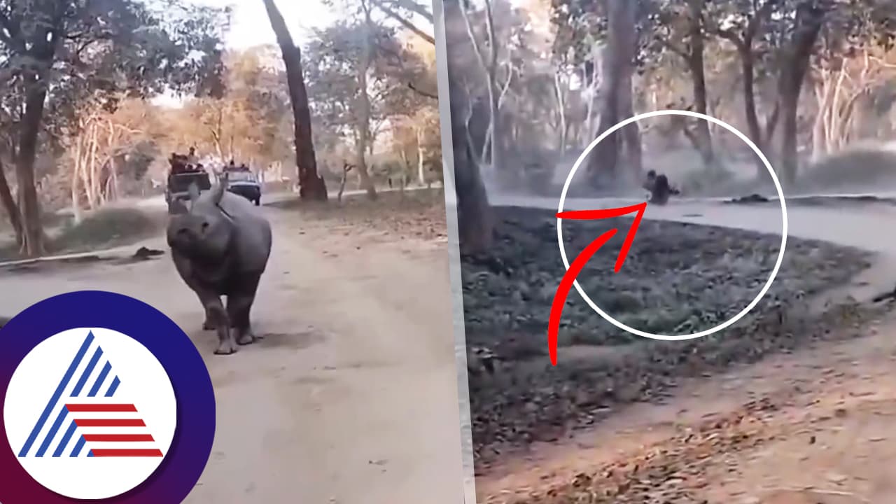 ಕಾಝಿರಂಗ ಸಫಾರಿ ವೇಳೆ ಅವಘಡ, ಜೀಪಿನಿಂದ ಘೇಂಡಾಮೃಗಗಳ ನಡುವೆ ಬಿದ್ದ ತಾಯಿ ಮಗಳು ಕಾಝಿರಂಗ ಸಫಾರಿ ವೇಳೆ ಅವಘಡ, ಜೀಪಿನಿಂದ ಘೇಂಡಾಮೃಗಗಳ ನಡುವೆ ಬಿದ್ದ ತಾಯಿ ಮಗಳು