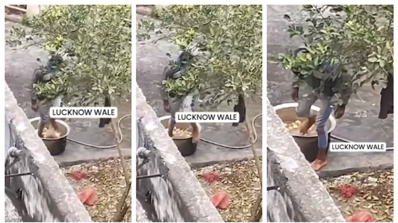 ഹോസ്റ്റൽ മെസിലേക്കുള്ള ഉരുളക്കിഴങ്ങ് കാലുകൊണ്ട് ചവിട്ടിക്കഴുകി ജീവനക്കാരൻ; വീഡിയോ വൈറൽ ഹോസ്റ്റൽ മെസിലേക്കുള്ള ഉരുളക്കിഴങ്ങ് കാലുകൊണ്ട് ചവിട്ടിക്കഴുകി ജീവനക്കാരൻ; വീഡിയോ വൈറൽ