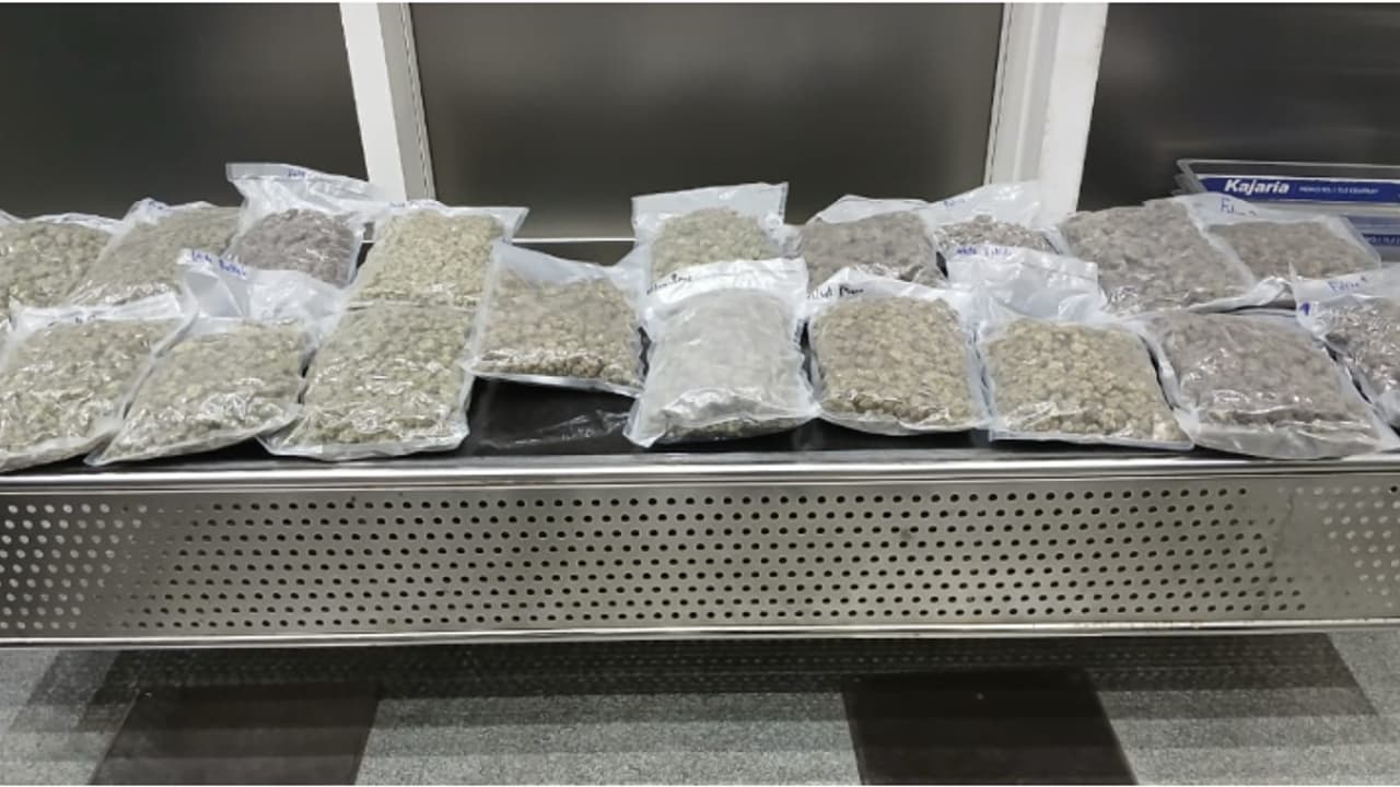 2 സ്ത്രീകളുടെ ബാഗിൽ കണ്ട 19 വാക്വം കവറുകൾ; ബാഗുകൾ കുടഞ്ഞിട്ട് പരിശോധിച്ച് കസ്റ്റംസ്, പിടിച്ചത് 9 കിലോ കഞ്ചാവ് 2 സ്ത്രീകളുടെ ബാഗിൽ കണ്ട 19 വാക്വം കവറുകൾ; ബാഗുകൾ കുടഞ്ഞിട്ട് പരിശോധിച്ച് കസ്റ്റംസ്, പിടിച്ചത് 9 കിലോ കഞ്ചാവ്