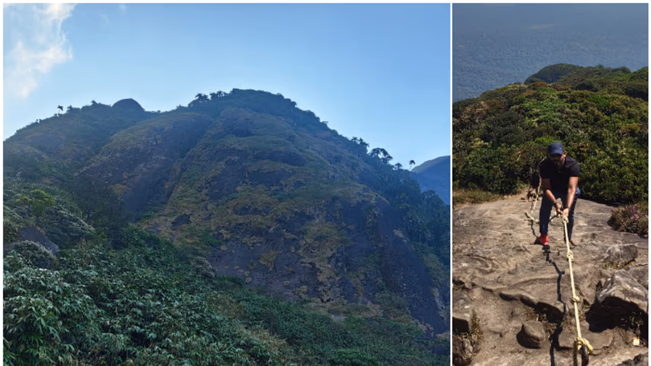 ഇക്കുറി 34 ദിവസം, കാത്തിരുന്നവർക്ക് സന്തോഷവാർത്ത! അഗസ്ത്യാർകൂടം സ്വപ്ന യാത്രയുടെ ഓൺലൈൻ ബുക്കിംഗ് നാളെ തുടങ്ങും ഇക്കുറി 34 ദിവസം, കാത്തിരുന്നവർക്ക് സന്തോഷവാർത്ത! അഗസ്ത്യാർകൂടം സ്വപ്ന യാത്രയുടെ ഓൺലൈൻ ബുക്കിംഗ് നാളെ തുടങ്ങും