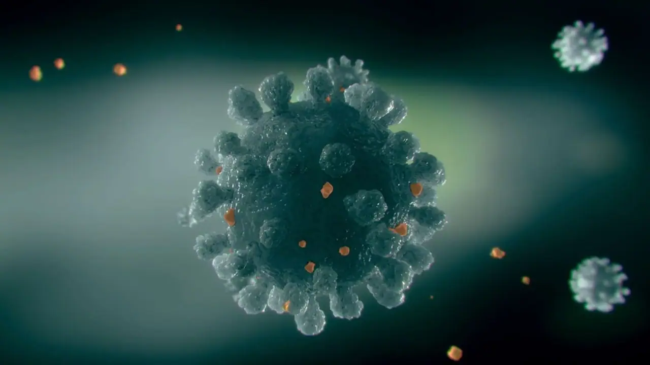 HMPV outbreak: Kannadigas in China dismiss claims of overcrowded hospitals and panic, say 'life is normal' HMPV outbreak: Kannadigas in China dismiss claims of overcrowded hospitals and panic, say 'life is normal'