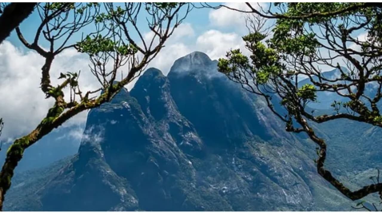 സഞ്ചാരികൾ കാത്തിരുന്ന ദിവസം വന്നെത്തി; അഗസ്ത്യാര്കൂടം ട്രക്കിംഗിനുള്ള രജിസ്ട്രേഷന് ഇന്ന് ആരംഭിക്കും സഞ്ചാരികൾ കാത്തിരുന്ന ദിവസം വന്നെത്തി; അഗസ്ത്യാര്കൂടം ട്രക്കിംഗിനുള്ള രജിസ്ട്രേഷന് ഇന്ന് ആരംഭിക്കും