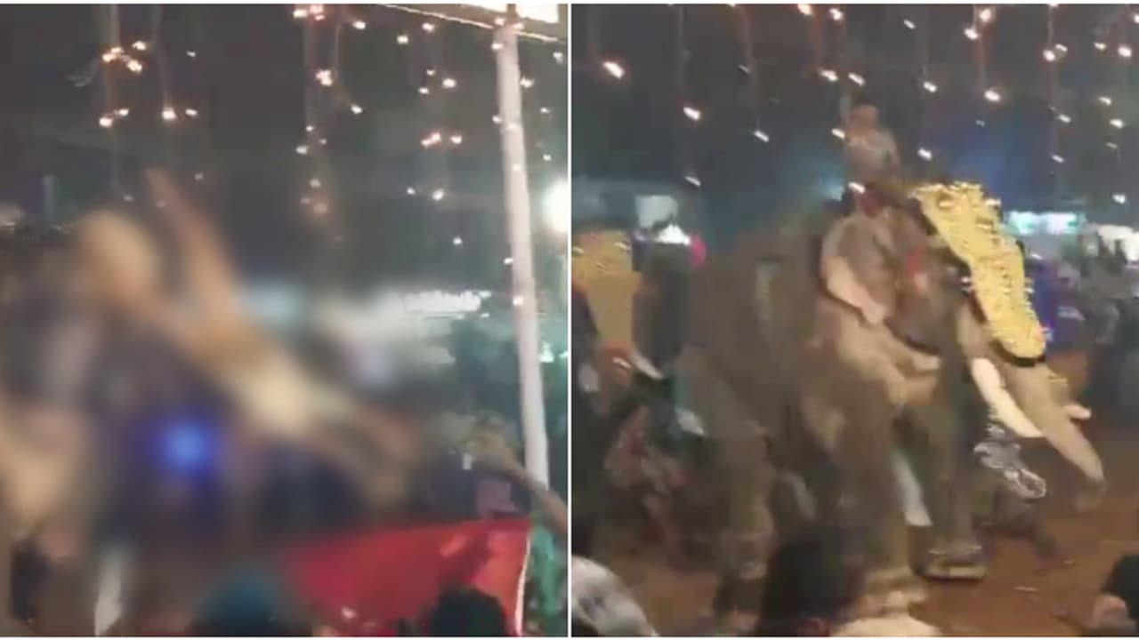 തിരൂർ പുതിയങ്ങാടി നേർച്ചക്കിടെ ആനയിടഞ്ഞു; ഒരാളെ ആന തൂക്കിയെറിഞ്ഞു, തിക്കിലും തിരക്കിലും നിരവധി പേർക്ക് പരിക്ക് തിരൂർ പുതിയങ്ങാടി നേർച്ചക്കിടെ ആനയിടഞ്ഞു; ഒരാളെ ആന തൂക്കിയെറിഞ്ഞു, തിക്കിലും തിരക്കിലും നിരവധി പേർക്ക് പരിക്ക്