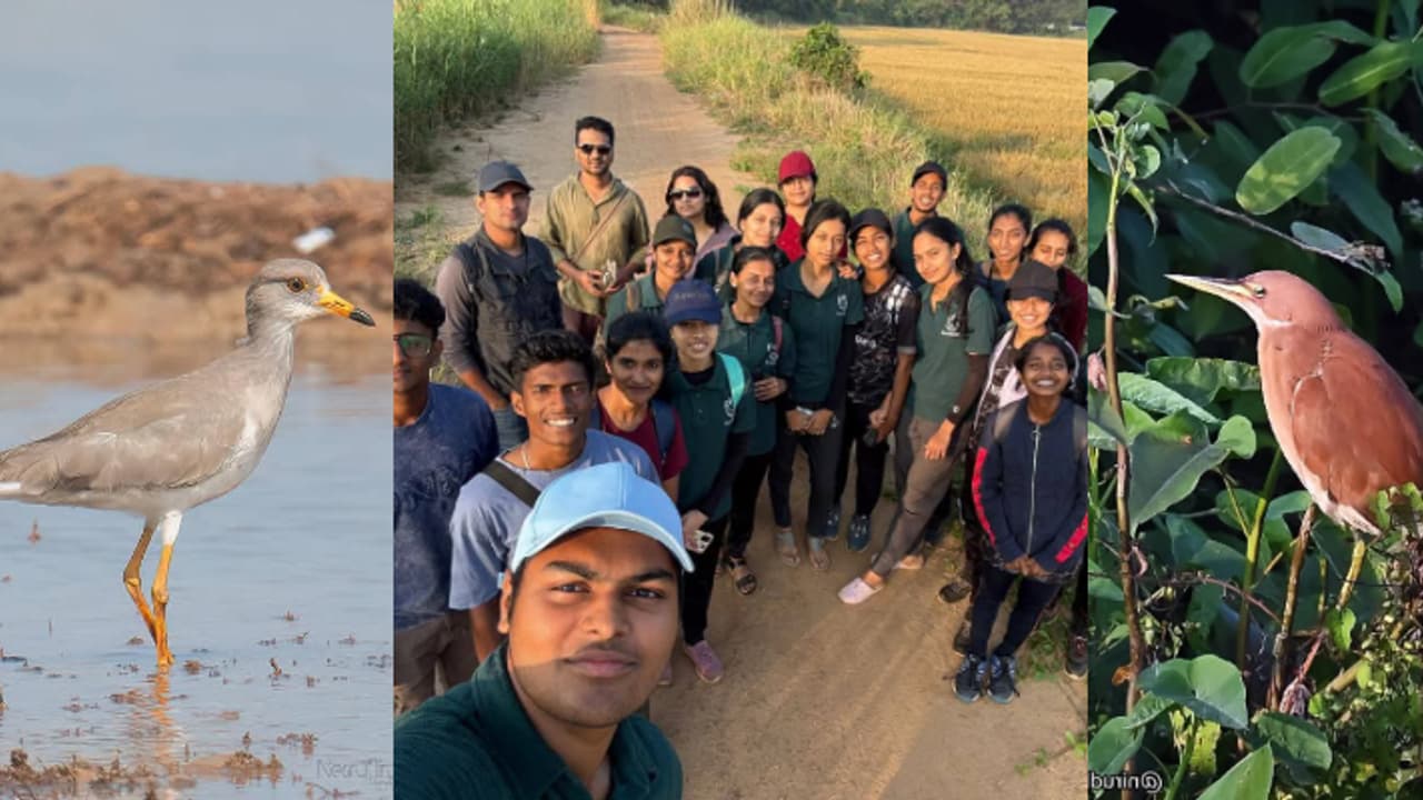 എരണ്ടകൾ, കൊക്കുകൾ, നീലക്കോഴി, കരിയാള എന്നിവയെ കാണാനില്ല, കോൾ പാടങ്ങളിലേക്ക് വരാൻ മടിച്ച് ദേശാടനകിളികൾ എരണ്ടകൾ, കൊക്കുകൾ, നീലക്കോഴി, കരിയാള എന്നിവയെ കാണാനില്ല, കോൾ പാടങ്ങളിലേക്ക് വരാൻ മടിച്ച് ദേശാടനകിളികൾ