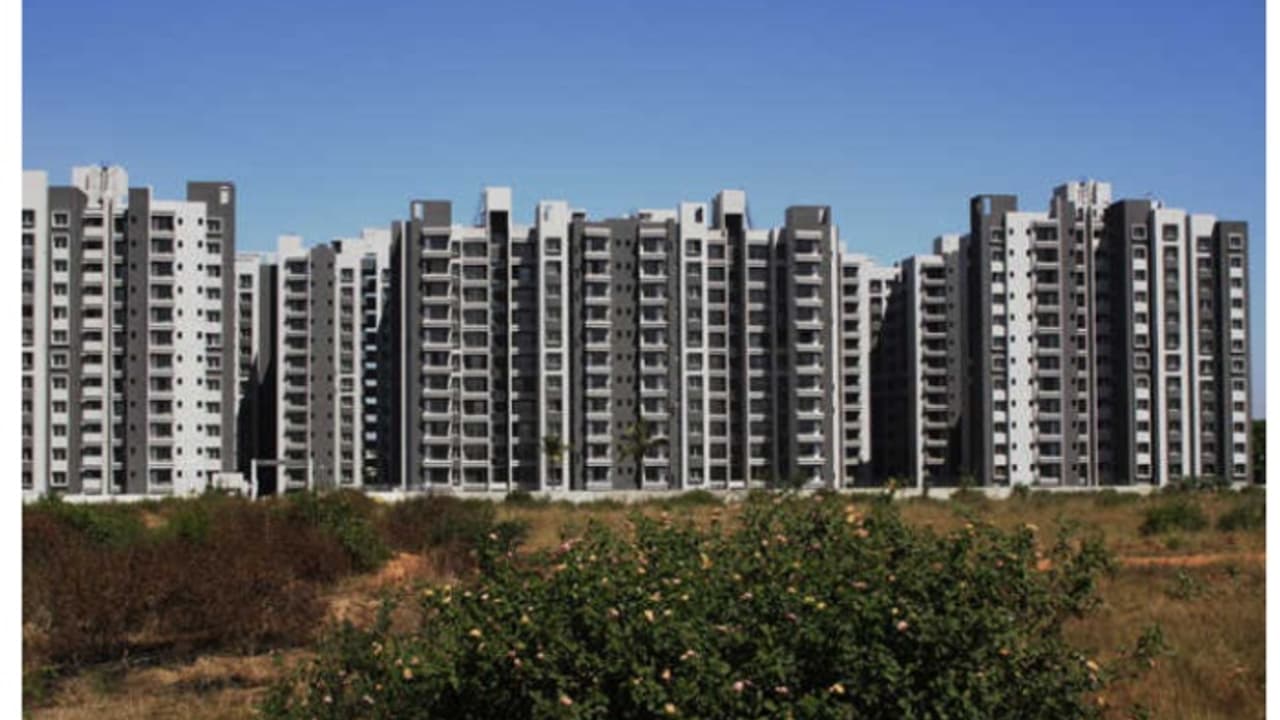 സേഫ്റ്റി ബെൽറ്റ് പൊട്ടി, അഞ്ചാം നിലയിൽ നിന്ന് വീണ് പെയിന്റിങ് തൊഴിലാളിക്ക് ദാരുണാന്ത്യം; കരാറുകാരനെതിരെ പരാതി സേഫ്റ്റി ബെൽറ്റ് പൊട്ടി, അഞ്ചാം നിലയിൽ നിന്ന് വീണ് പെയിന്റിങ് തൊഴിലാളിക്ക് ദാരുണാന്ത്യം; കരാറുകാരനെതിരെ പരാതി