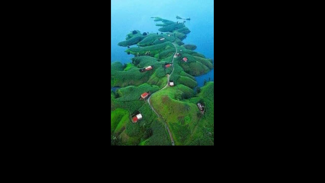 ಪ್ರವಾಸಿಗರಿಗೆ ಮುಕ್ತವಾದ ದ್ವೀಪ, ಫ್ರೀಯಾಗಿ ಸಿಗುತ್ತೆ ಅನ್‌ಲಿಮಿಟೆಡ್ ಬಿಯರ್; ಇಲ್ಲಿಗೆ ಹೋಗೋದು ಹೇಗೆ? ಬೆಲೆ ಎಷ್ಟು?