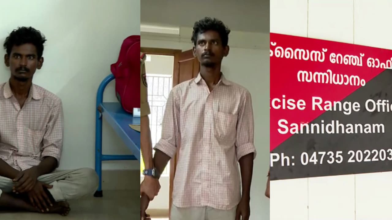 കഞ്ചാവ് കേസിൽ ജാമ്യത്തിലിറങ്ങി മുങ്ങിയ പ്രതി ശബരിമല സന്നിധാനത്ത്; കയ്യോടെ പിടികൂടി എക്സൈസ്