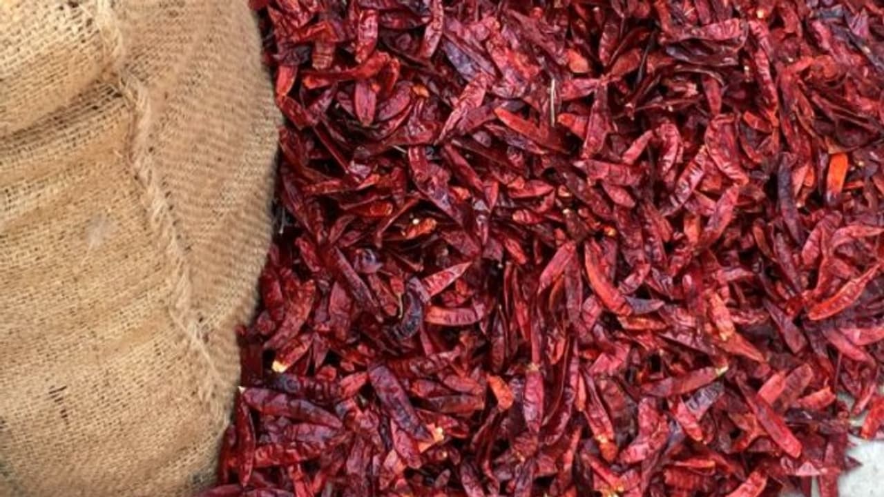 Byadgi Chili Byadgi Chili