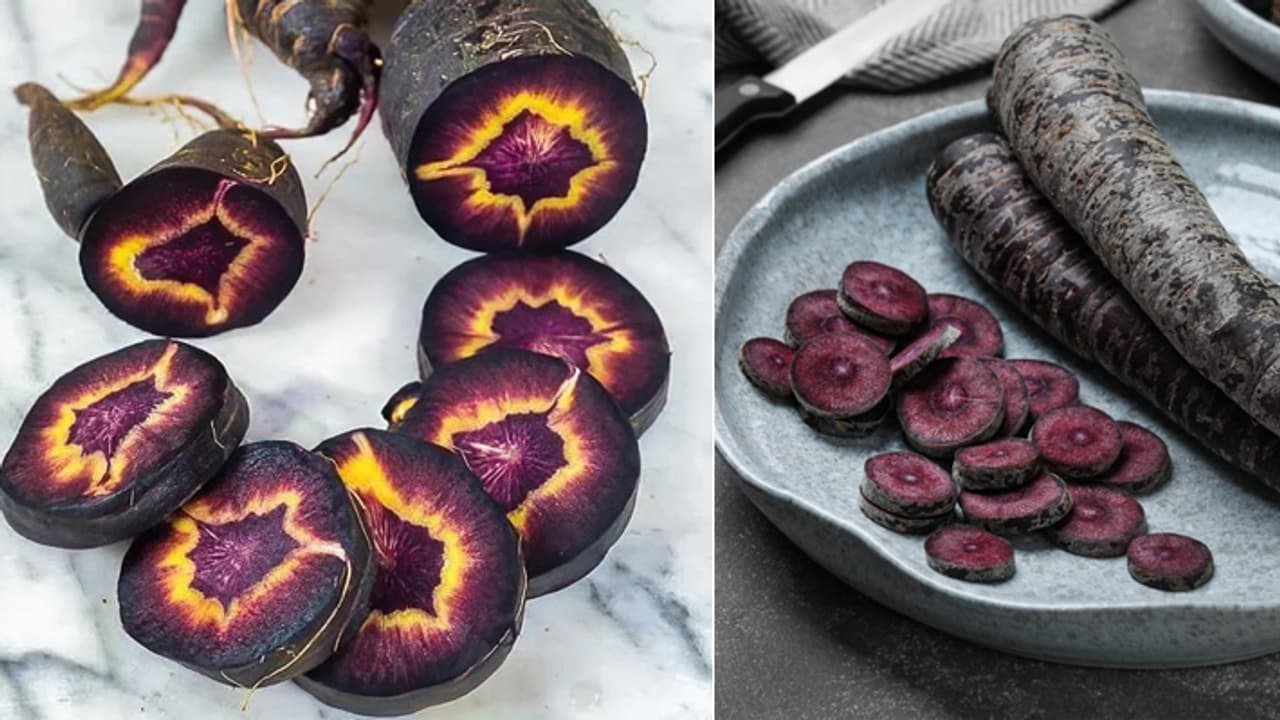 black carrot halwa 10 times more beneficial black carrot halwa 10 times more beneficial