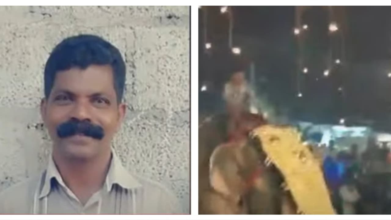 പുതിയങ്ങാടി പള്ളി നേർച്ചക്കിടെ ഇടഞ്ഞ ആന ആക്രമിച്ച ആൾ മരിച്ചു പുതിയങ്ങാടി പള്ളി നേർച്ചക്കിടെ ഇടഞ്ഞ ആന ആക്രമിച്ച ആൾ മരിച്ചു