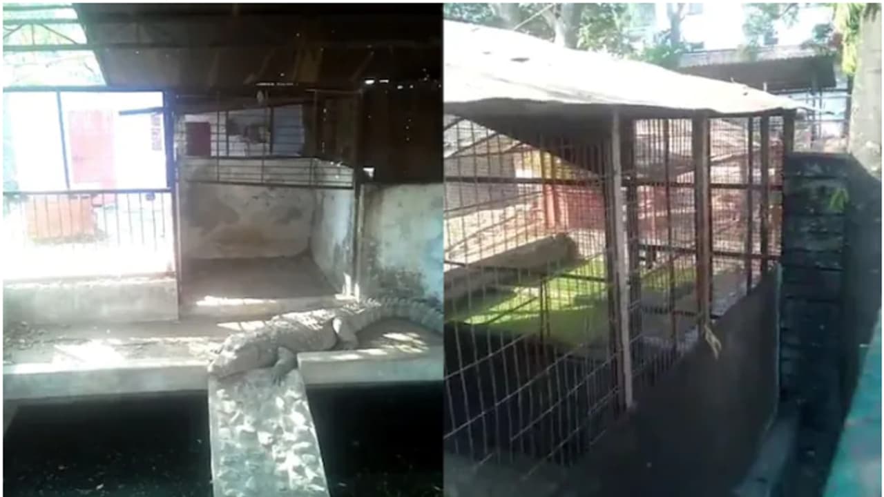 സ്വർണം, കോടിക്കണക്കിന് പണം, വിദേശ കാറുകൾ, മൂന്ന് മുതലകള്‍...; ബിജെപി മുൻ എംഎൽഎയുടെ വീട്ടിൽ ഐടി റെയ്ഡ് 