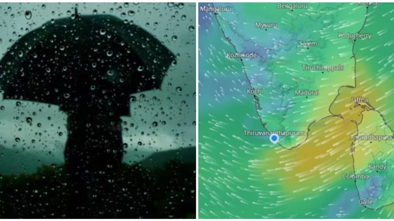 ചക്രവാതച്ചുഴി; നാളെ 10 ജില്ലകളിൽ നേരിയ മഴയ്ക്ക് സാധ്യത, 13നും 14നും ഇടിമിന്നലോട് കൂടിയ മഴ പെയ്തേക്കും