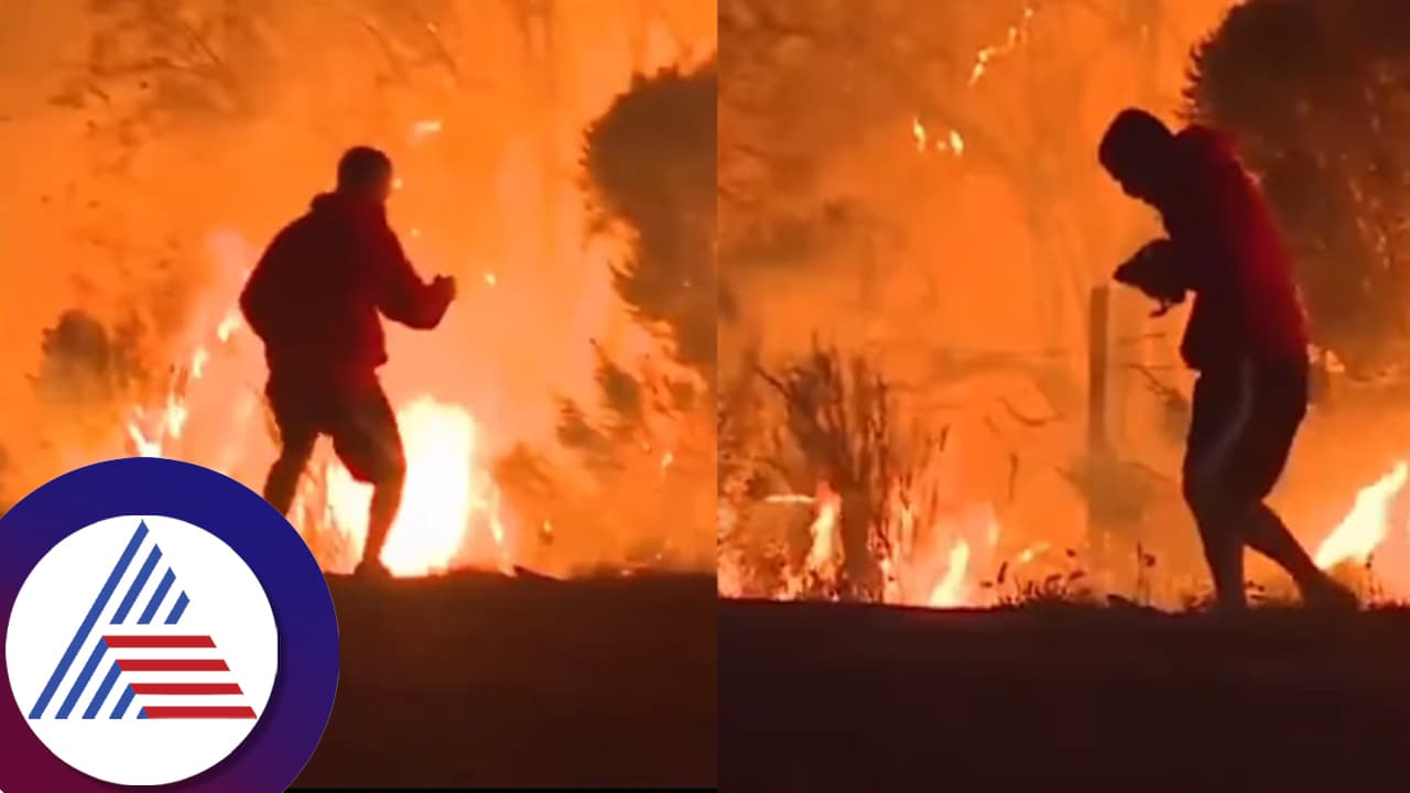 ಭೀಕರ ಕಾಳ್ಗಿಚ್ಚಿನ ನಡುವೆಯೇ ಮೊಲದ ರಕ್ಷಣೆ ಮಾಡಿದ 'ಹೀರೋ': ಮನಕಲಕುವ ವಿಡಿಯೋ ವೈರಲ್​