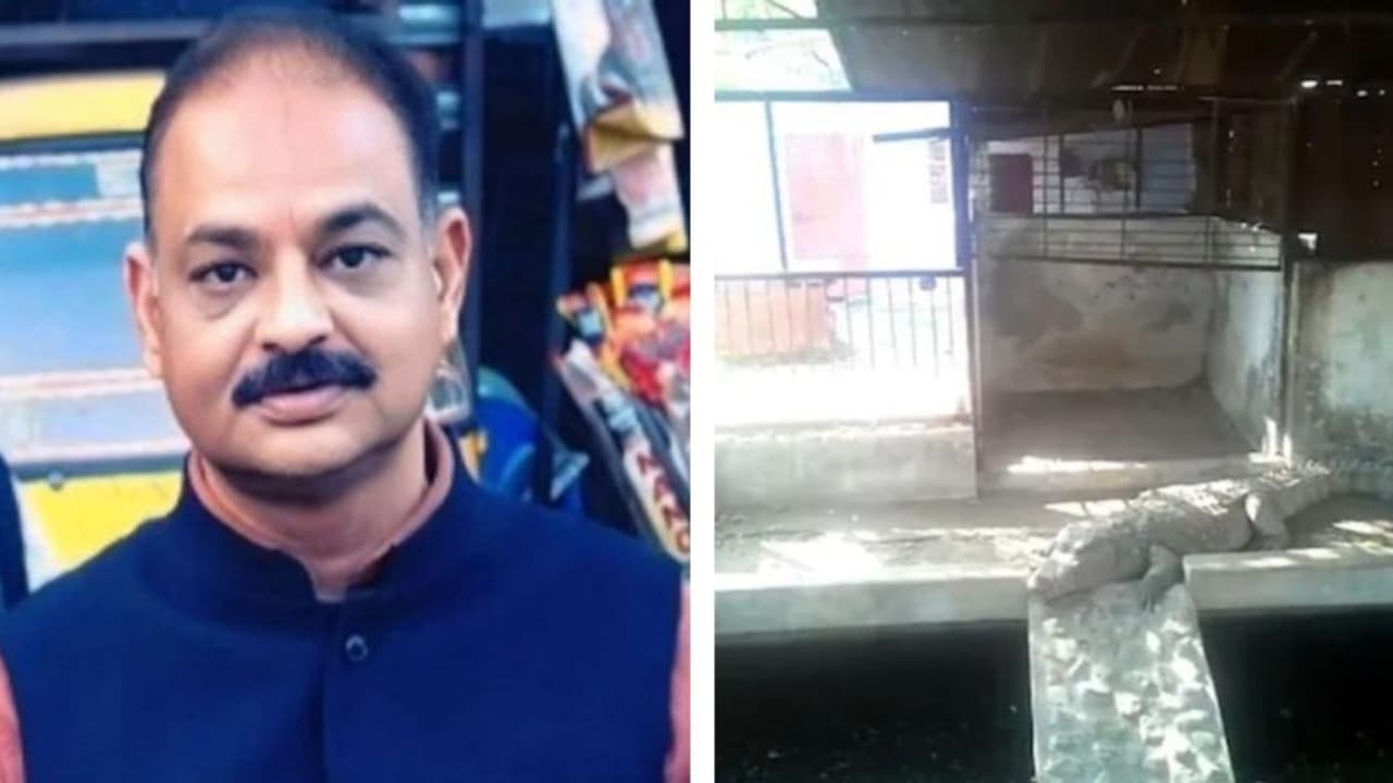 ಬಿಜೆಪಿ ಮಾಜಿ ಶಾಸಕ ಮನೆ ರೇಡ್ ವೇಳೆ ಆದಾಯ ತೆರಿಗೆ ಅಧಿಕಾರಿಗಳಿಗೆ ಸಿಕ್ತು ಮೂರು ಮೊಸಳೆಗಳು! ಬಿಜೆಪಿ ಮಾಜಿ ಶಾಸಕ ಮನೆ ರೇಡ್ ವೇಳೆ ಆದಾಯ ತೆರಿಗೆ ಅಧಿಕಾರಿಗಳಿಗೆ ಸಿಕ್ತು ಮೂರು ಮೊಸಳೆಗಳು!