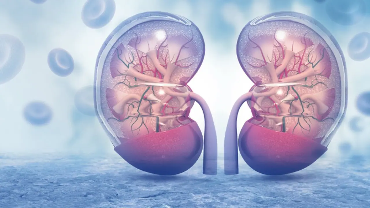 വൃക്കകളുടെ ആരോഗ്യം സംരക്ഷിക്കാന് ഡയറ്റില് ഉള്പ്പെടുത്തേണ്ട പാനീയങ്ങള് വൃക്കകളുടെ ആരോഗ്യം സംരക്ഷിക്കാന് ഡയറ്റില് ഉള്പ്പെടുത്തേണ്ട പാനീയങ്ങള്