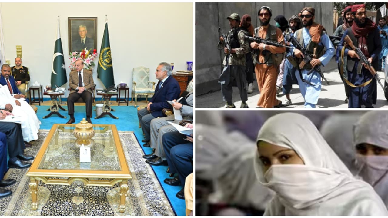 മുസ്ലീം പെൺകുട്ടികളുടെ വിദ്യാഭ്യാസം; ആഗോള ഉച്ചകോടി സംഘടിപ്പിച്ച് പാകിസ്ഥാൻ, മൈൻഡ് ചെയ്യാതെ താലിബാൻ മുസ്ലീം പെൺകുട്ടികളുടെ വിദ്യാഭ്യാസം; ആഗോള ഉച്ചകോടി സംഘടിപ്പിച്ച് പാകിസ്ഥാൻ, മൈൻഡ് ചെയ്യാതെ താലിബാൻ