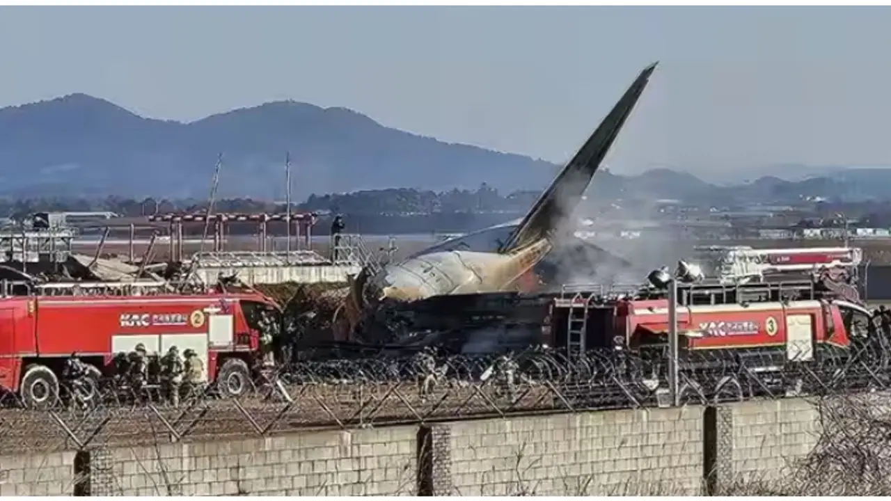 എൻജിനിൽ തൂവൽ, രക്തക്കറ; 179 പേരുടെ മരണത്തിനിടയാക്കിയ വിമാന അപകടത്തിന് കാരണം പക്ഷിയോ....