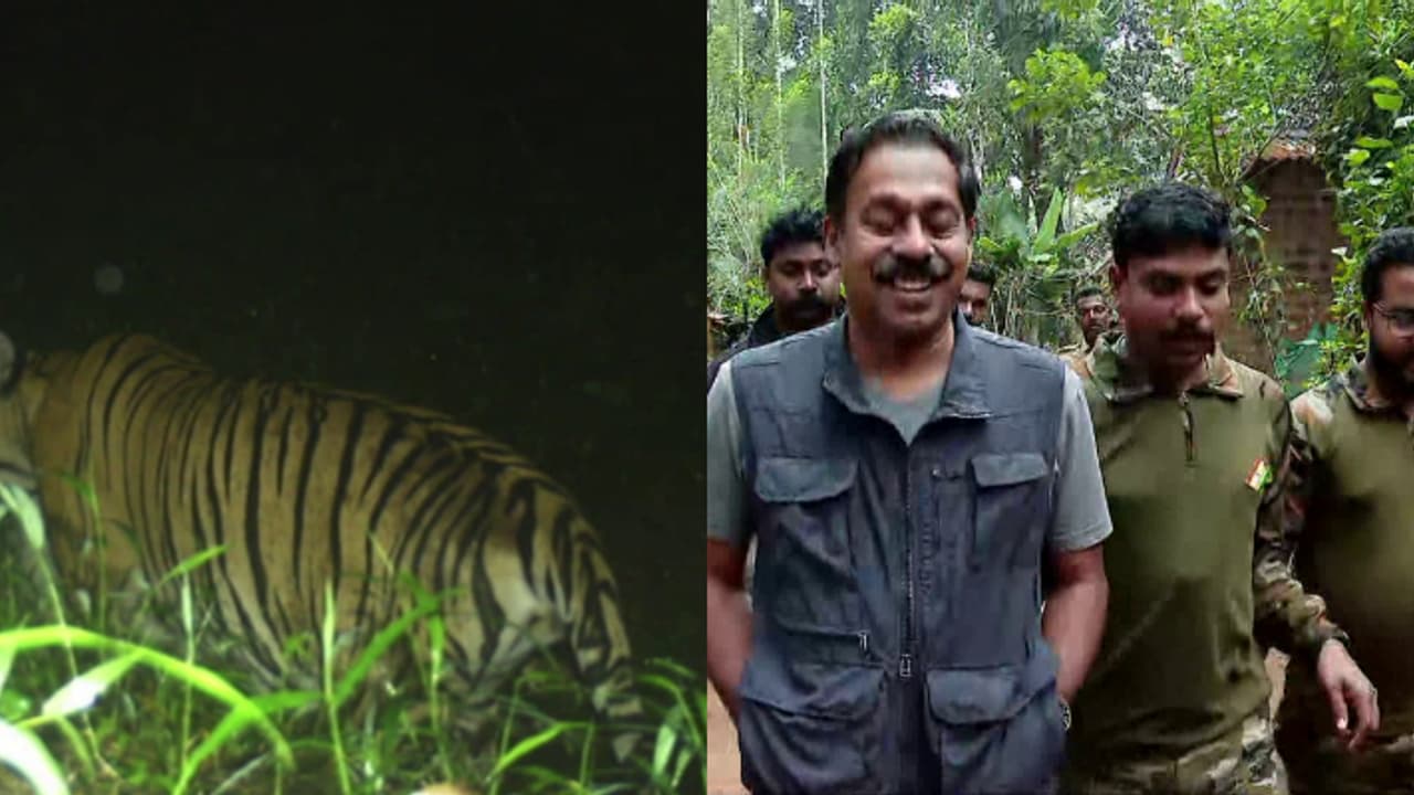 അമരക്കുനിയിലെ കടുവയെ കണ്ടെത്താൻ വിക്രമും സുരേന്ദ്രനുമിറങ്ങും; ഡോ. അരുണ് സക്കറിയ സ്ഥലത്ത്, തെരച്ചിൽ ഊര്ജിതം അമരക്കുനിയിലെ കടുവയെ കണ്ടെത്താൻ വിക്രമും സുരേന്ദ്രനുമിറങ്ങും; ഡോ. അരുണ് സക്കറിയ സ്ഥലത്ത്, തെരച്ചിൽ ഊര്ജിതം