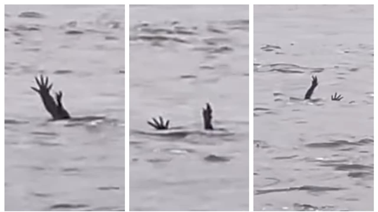 മനുഷ്യരെ വെള്ളത്തിലേക്ക് ആകർഷിക്കാൻ മുതലകൾ 'മുങ്ങി മരണം' അഭിനയിക്കുമോ? വൈറൽ വീഡിയോയ്ക്ക് പിന്നാലെ സജീവ ചർച്ച 