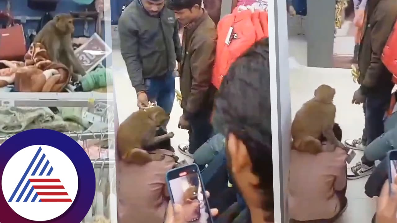 ಶಾಪಿಂಗ್ ಮಾಲ್‌ಗೆ ನುಗ್ಗಿದ ಕೋತಿ, ಸುಂದರ ಯುವತಿಗೆ ಮಾಡಿದ್ದೇನು? ಆಕೆಯ ಕೆನ್ನೆ, ಕಾಲು ಜಸ್ಟ್ ಮಿಸ್!