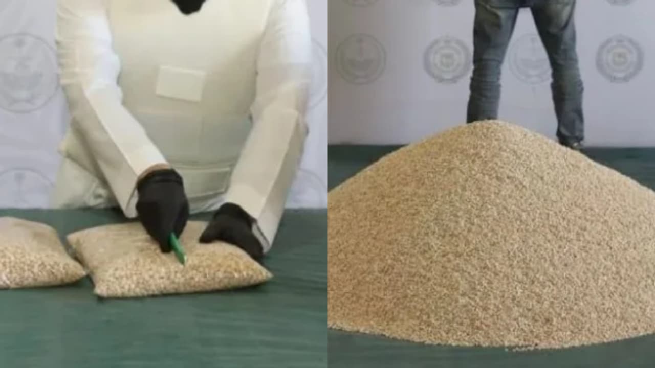 വിദേശത്ത് നിന്ന് കപ്പലിലെത്തിയത് ഫർണിച്ചർ; കസ്റ്റംസ് പരിശോധനയിൽ കുടുങ്ങി, പിടികൂടിയത് 19 ലക്ഷം ലഹരി ഗുളികകൾ വിദേശത്ത് നിന്ന് കപ്പലിലെത്തിയത് ഫർണിച്ചർ; കസ്റ്റംസ് പരിശോധനയിൽ കുടുങ്ങി, പിടികൂടിയത് 19 ലക്ഷം ലഹരി ഗുളികകൾ