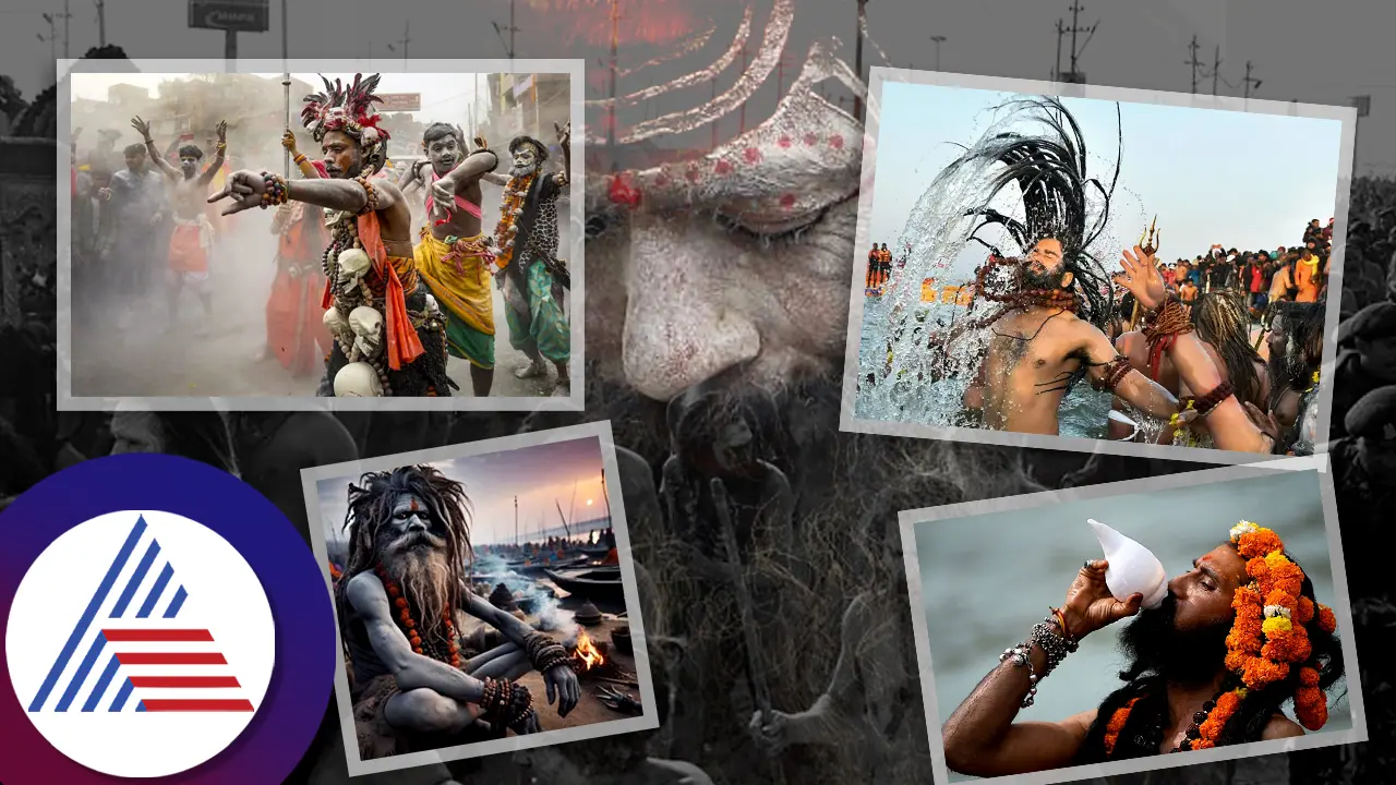 Maha Kumbh 2025: World's largest gathering of humans kicks off with 'Shani Snan' on Paush Purnima Maha Kumbh 2025: World's largest gathering of humans kicks off with 'Shani Snan' on Paush Purnima