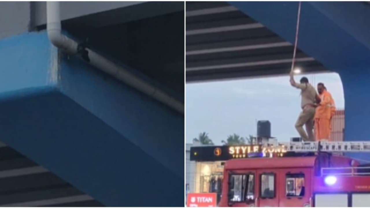 ഓരോ ജീവനും അമൂല്യമാണ്, കഴക്കൂട്ടം എലിവേറ്റഡ് ഹൈവേ ഗർഡറിലെ കമ്പിയിൽ കുരുങ്ങിയ കാക്കയെ രക്ഷിച്ച് ഫയർഫോഴ്സ് ഓരോ ജീവനും അമൂല്യമാണ്, കഴക്കൂട്ടം എലിവേറ്റഡ് ഹൈവേ ഗർഡറിലെ കമ്പിയിൽ കുരുങ്ങിയ കാക്കയെ രക്ഷിച്ച് ഫയർഫോഴ്സ്