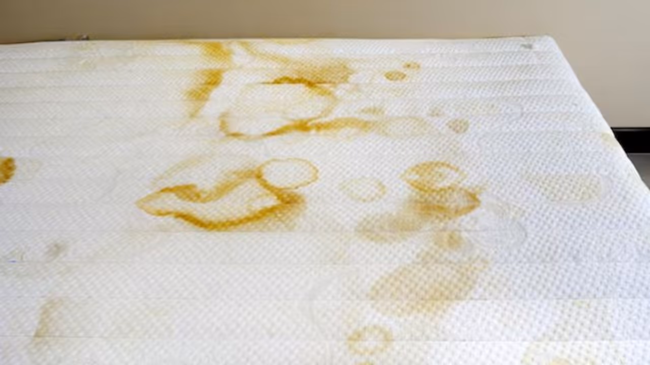 Best ways to clean urine stains from fabric