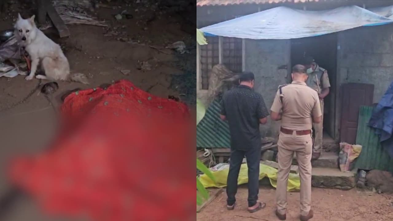 തൃശൂരിൽ കാപ്പാ കേസ് പ്രതി അയൽവാസിയെ തലയ്ക്കടിച്ച് കൊലപ്പെടുത്തി; ഒളിവിൽ പോയ പ്രതി അറസ്റ്റിൽ തൃശൂരിൽ കാപ്പാ കേസ് പ്രതി അയൽവാസിയെ തലയ്ക്കടിച്ച് കൊലപ്പെടുത്തി; ഒളിവിൽ പോയ പ്രതി അറസ്റ്റിൽ