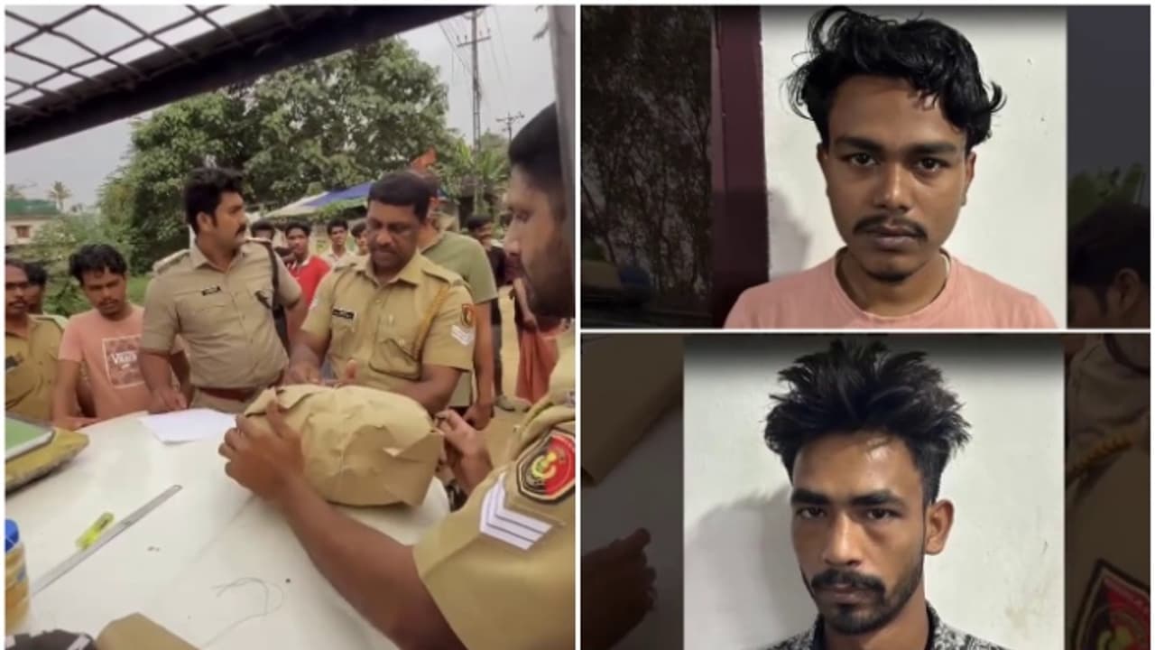 മൂന്ന് കിലോയിലധികം കഞ്ചാവുമായി രണ്ട് ഇതര സംസ്ഥാന തൊഴിലാളികൾ പിടിയിൽ