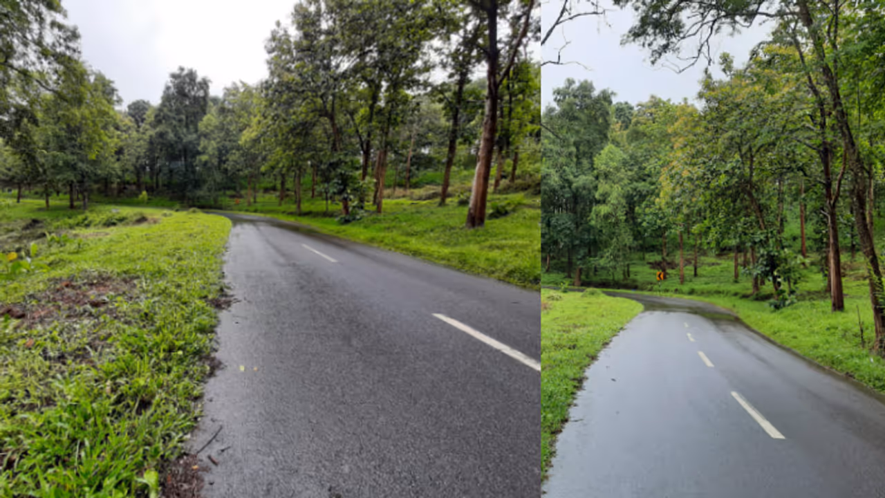 രാത്രി വനമേഖലയിലൂടെ അനാവശ്യ യാത്ര ഒഴിവാക്കണം, ടൂറിസ്റ്റുകൾ വന്യജീവികളെ പ്രകോപിപ്പക്കരുത്; മന്ത്രി ഒ.ആര്‍ കേളു