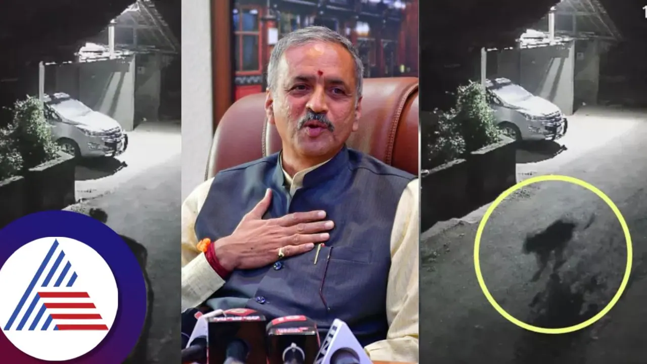 Leopard enters MP Vishweshwar Hegde Kageri's house in Uttara Kannada, chases pet dog (WATCH)