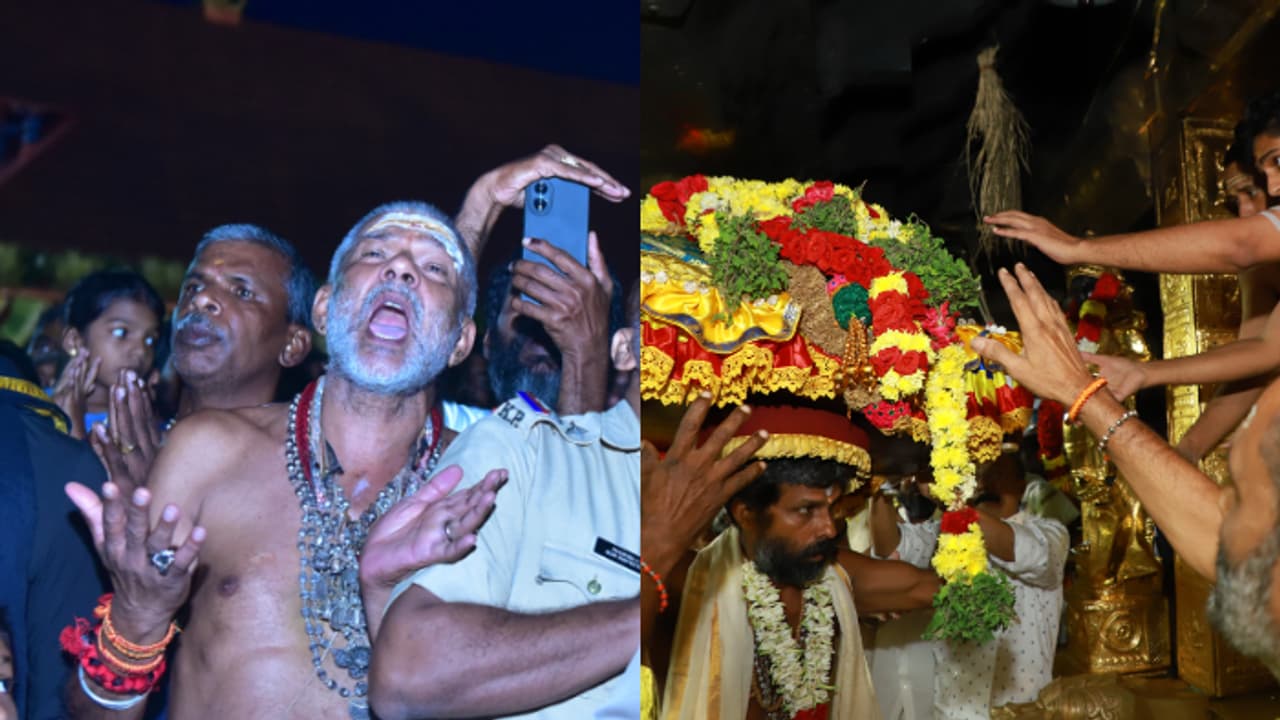 കനത്ത സുരക്ഷയും മികച്ച ഏകോപനവും; ശബരിമലയിൽ ദര്‍ശന പുണ്യം നേടി ലക്ഷങ്ങൾ മലയിറങ്ങി