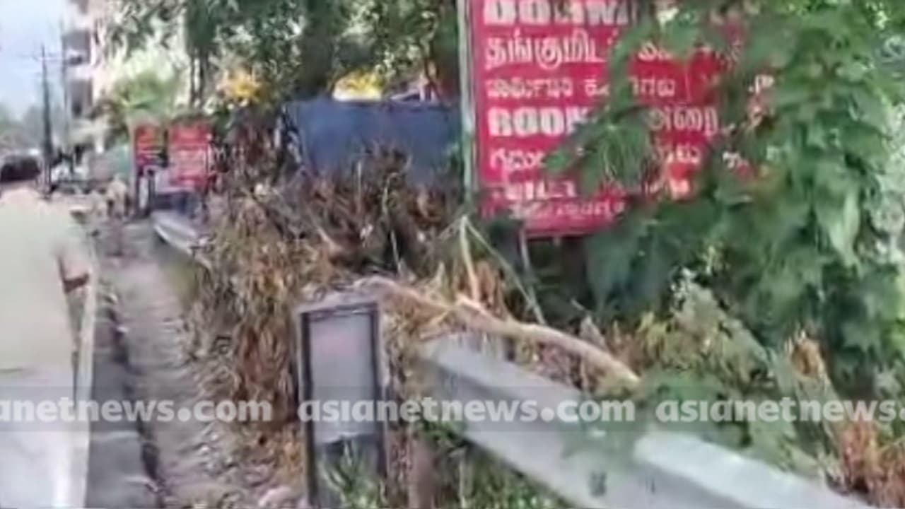 മൂത്രമൊഴിക്കുന്നതിനിടെ പൊട്ടിവീണ വൈദ്യുത കമ്പിയിൽ നിന്ന് ഷോക്കടിച്ചു; അയ്യപ്പ ഭക്തന് ദാരുണാന്ത്യം