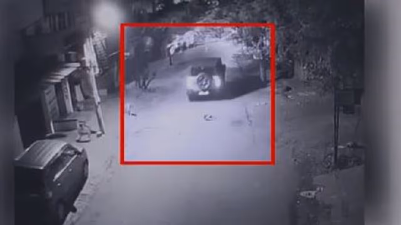 Bengaluru: Speeding Mahindra Thar mows down puppy in Sahakar Nagar, police launch manhunt (WATCH) Bengaluru: Speeding Mahindra Thar mows down puppy in Sahakar Nagar, police launch manhunt (WATCH)