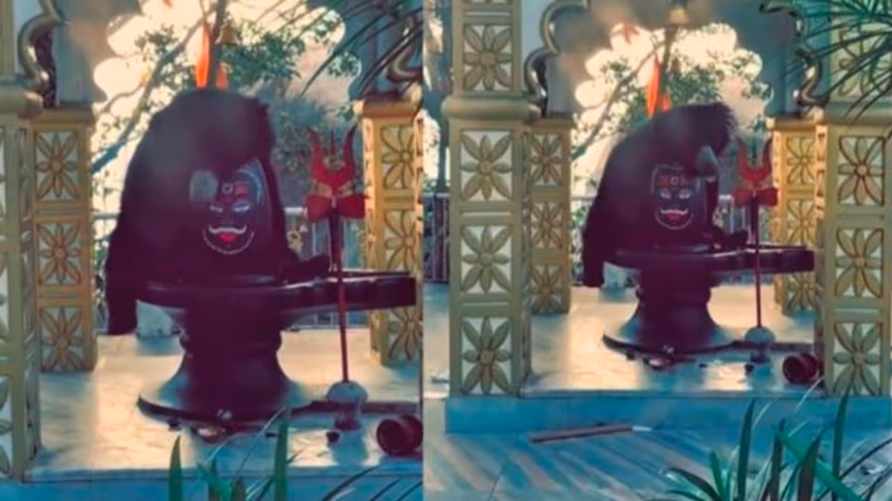 'Har Har Mahadev': Viral video shows Bear hugging Shivling in Chattisgarh, wins hearts online (WATCH) 'Har Har Mahadev': Viral video shows Bear hugging Shivling in Chattisgarh, wins hearts online (WATCH)