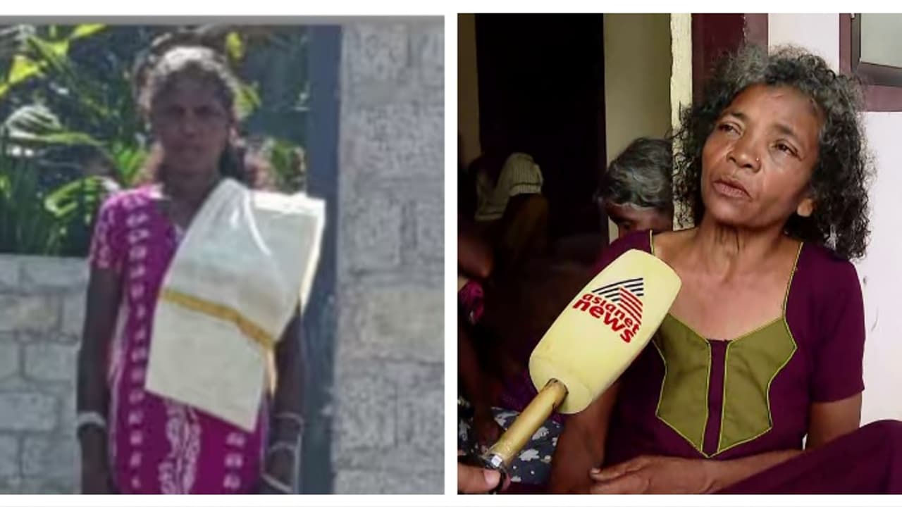 'ഞങ്ങൾ സ്ഥിരം പോകുന്ന വഴിയാണ്, ആനകൾ കൂട്ടമായി എത്തി, കണ്ടതോടെ എല്ലാവരും ഭയന്നോടി'; ഞെട്ടൽ മാറാതെ അമ്മിണി 'ഞങ്ങൾ സ്ഥിരം പോകുന്ന വഴിയാണ്, ആനകൾ കൂട്ടമായി എത്തി, കണ്ടതോടെ എല്ലാവരും ഭയന്നോടി'; ഞെട്ടൽ മാറാതെ അമ്മിണി